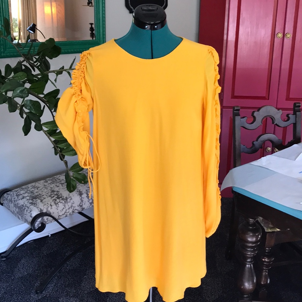 Zara tunic mini dress